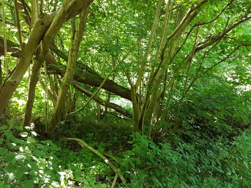 Strande - Alt-Bülk Rundweg