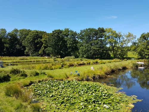 Strande - Alt-Bülk Rundweg