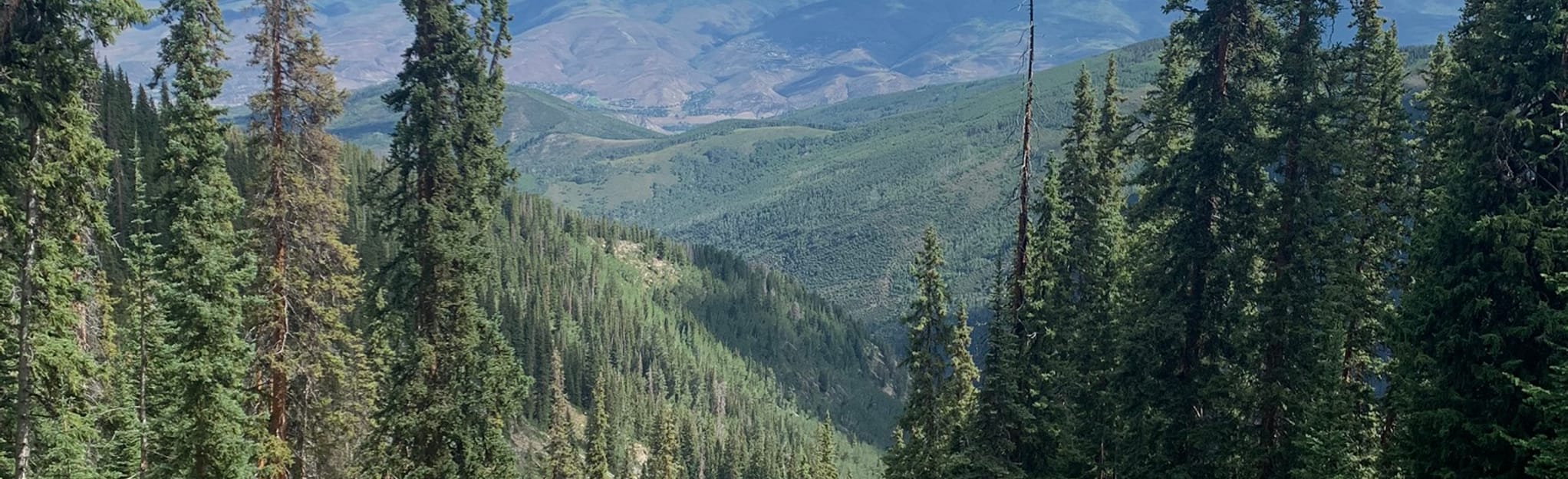 Dead Dog Trail 45 Reviews, Map Colorado AllTrails