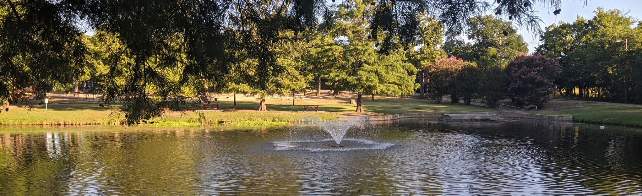 Town Creek Hike and Bike Trail 131 Reviews, Map Texas AllTrails