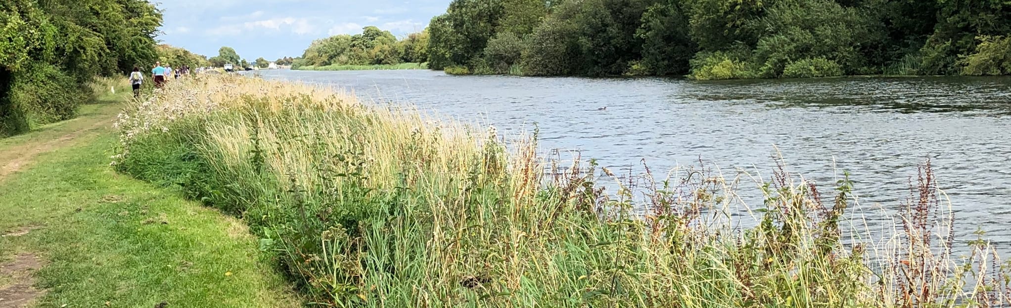 Purton to Sharpness Old Docks 33 Reviews, Map Gloucestershire