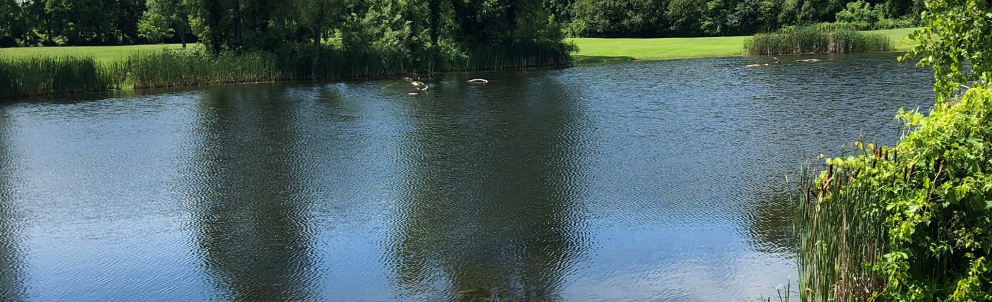 Royalton Falls Trail , New York 717 Reviews, Map AllTrails