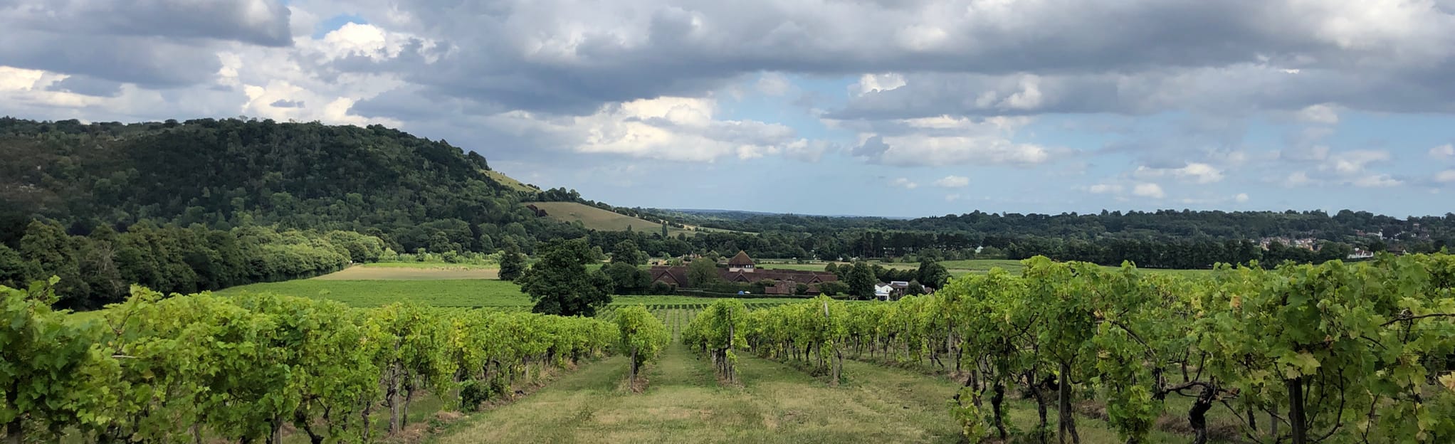 Ranmore Common and Bocketts Farm, Surrey, England 18 Reviews, Map