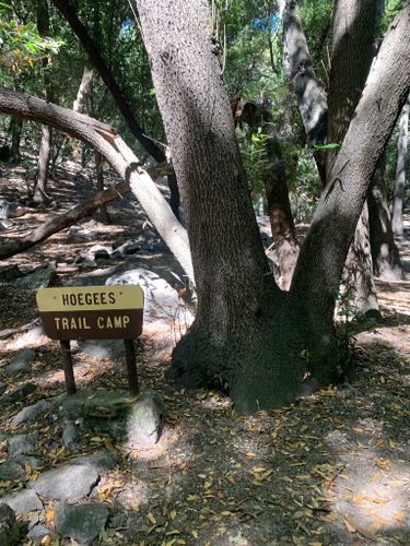 Photos of Hoegees Campground Loop Upper and Lower Winter Creek Trail Loop CLOSED California AllTrails