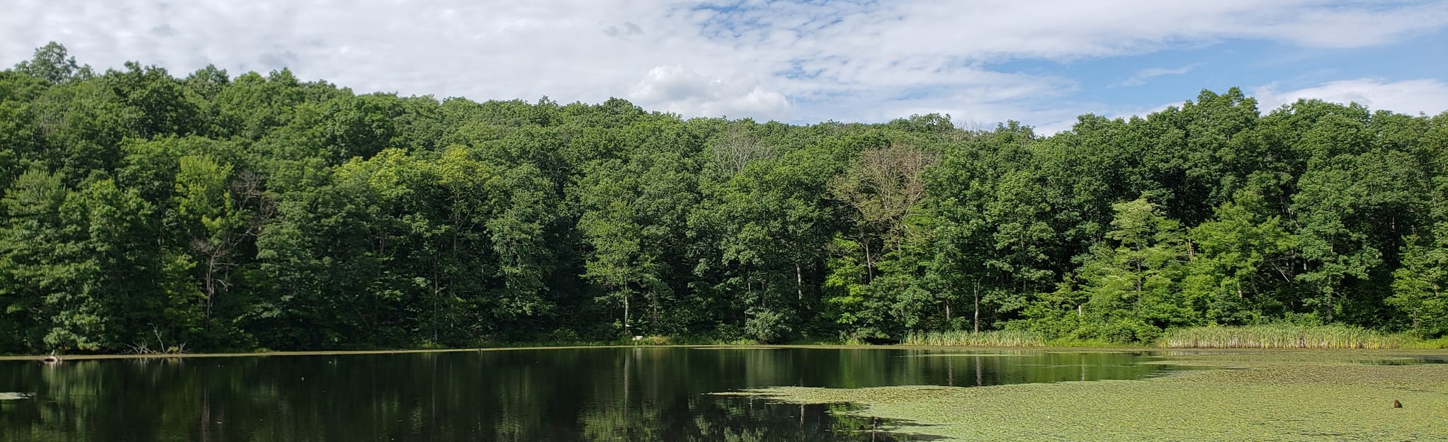 Woodland Way and Red Rock Trail Loop 135 Fotos Pennsylvania AllTrails