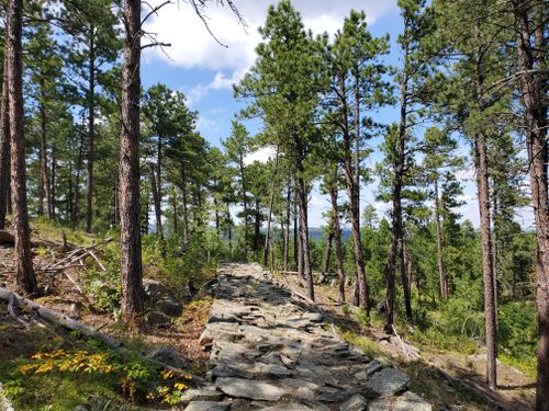 Black Hills Hiking Trails Best 10 Trails In Black Hills National Forest | Alltrails