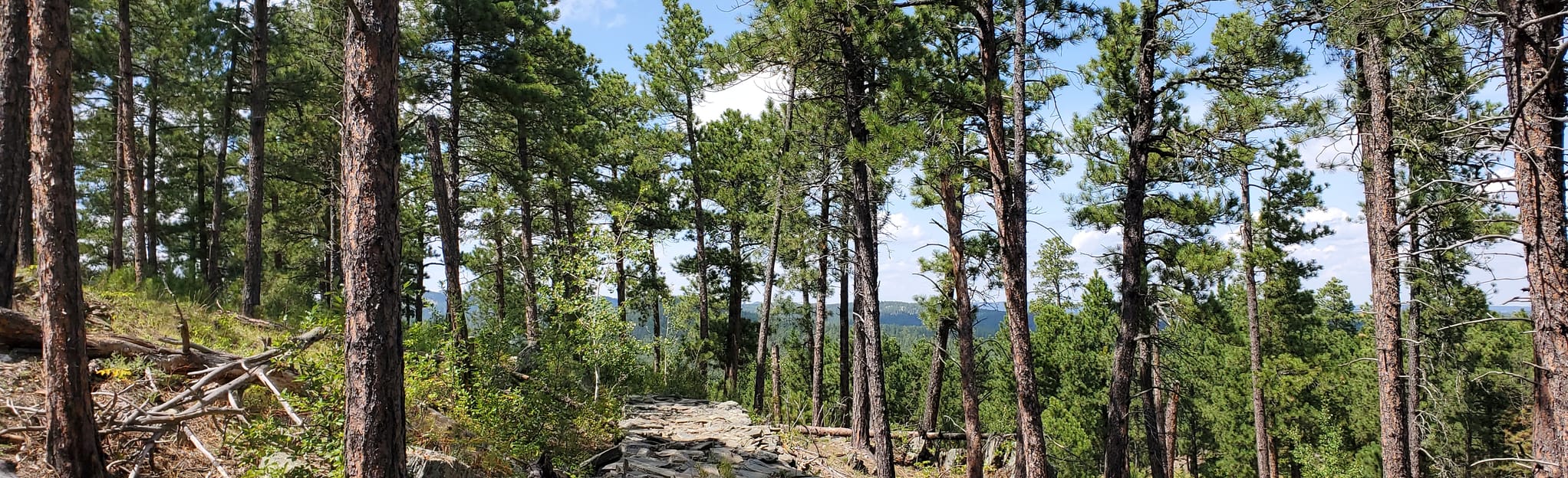 Coon Hollow Loop, South Dakota 980 Reviews, Map AllTrails