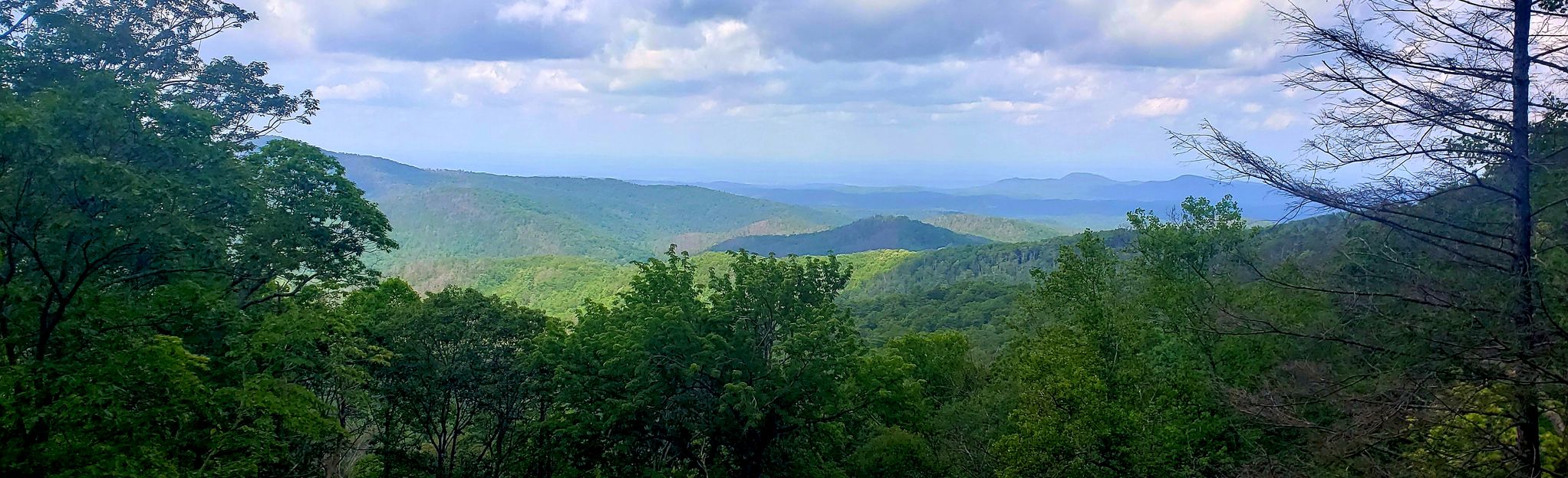 Panther Creek Falls: 241 Reviews, Map - Georgia | AllTrails