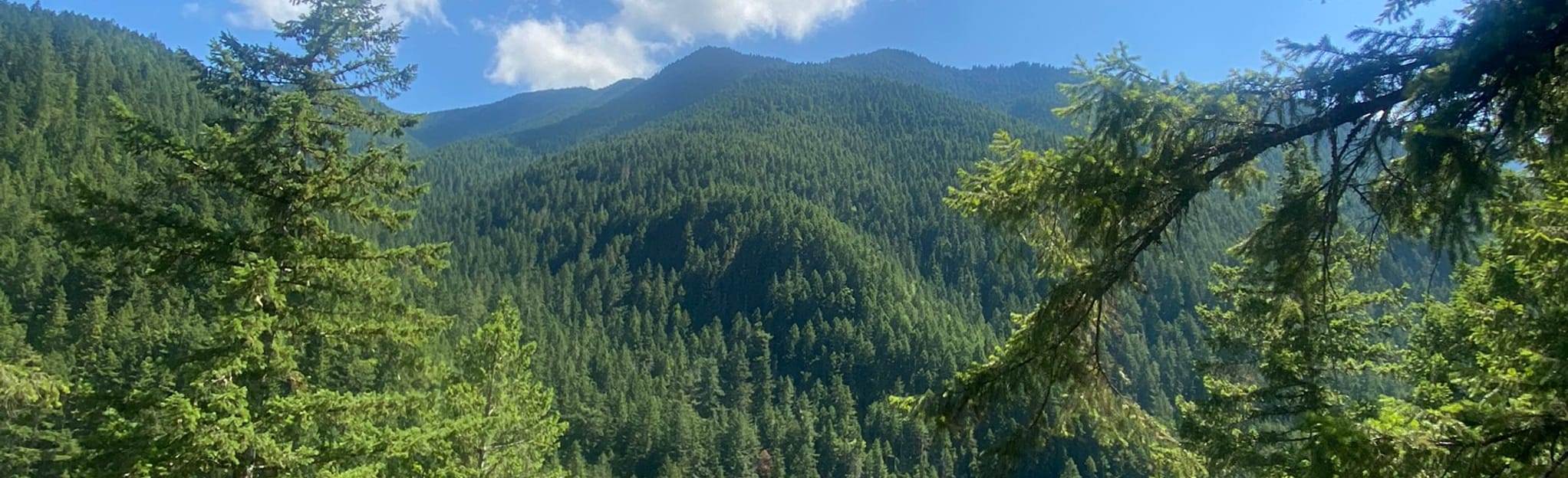 Gray Wolf Trail Mapa, Roteiro Washington AllTrails