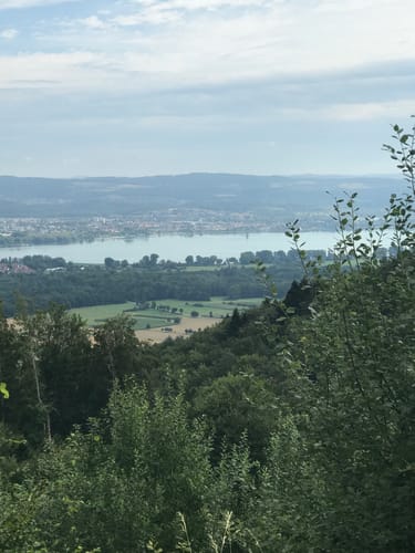 Horn - Radolfzell am Bodensee - Schienen