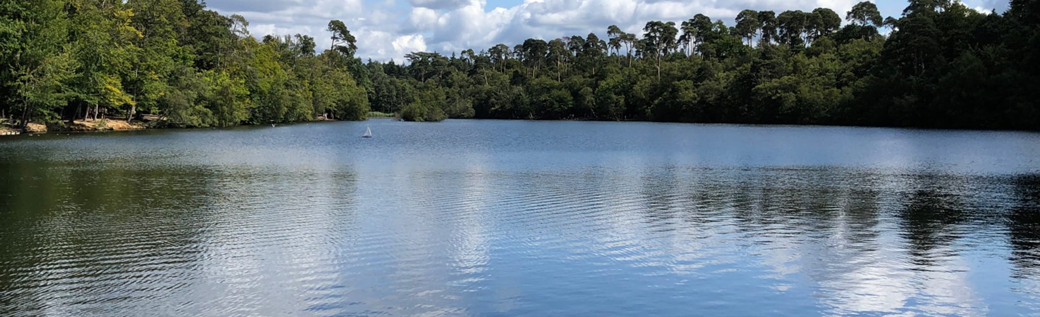 Black Park Lake Circular, Berkshire, England 15 Reviews, Map AllTrails