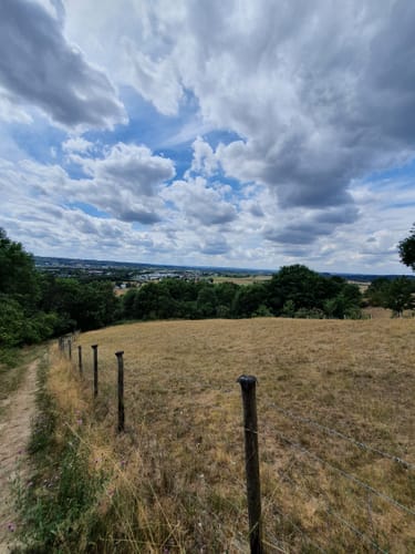 Natursteig Sieg Etappe 1: Siegburg - Hennef