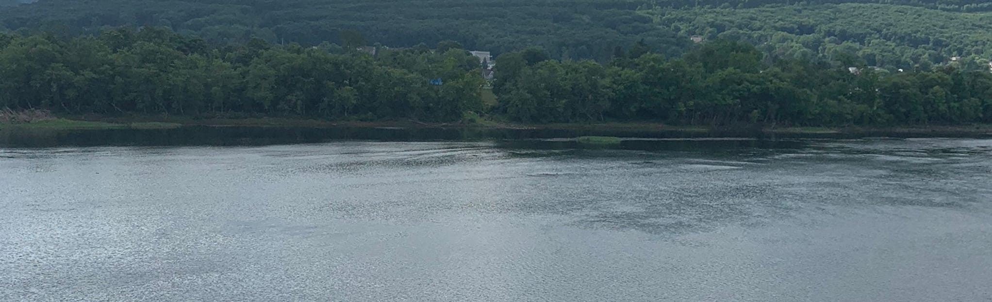 Mountoursville to Williamsport Trail 48 Reviews, Map Pennsylvania AllTrails