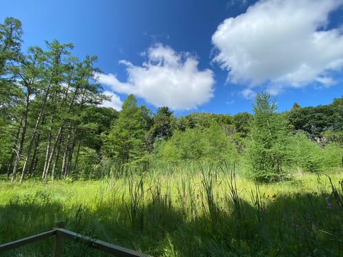 Theodore Wirth Hiking Trails Best 10 Trails In Theodore Wirth Park Alltrails