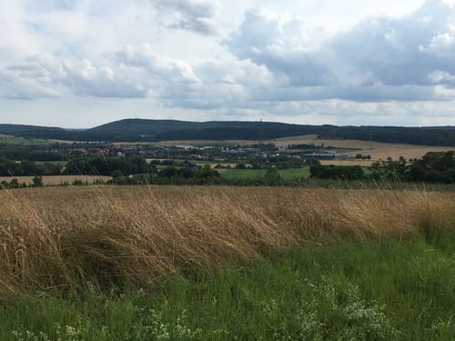 Himmelberg ab Limmer
