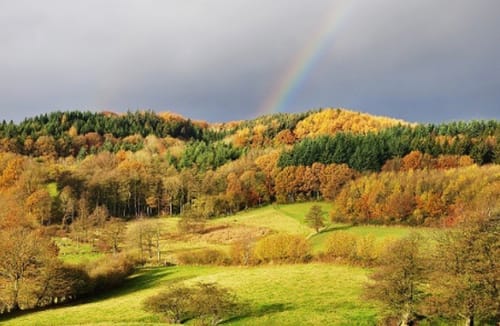 Wanderweg 8 - Aschberg - Schoothorster Tal