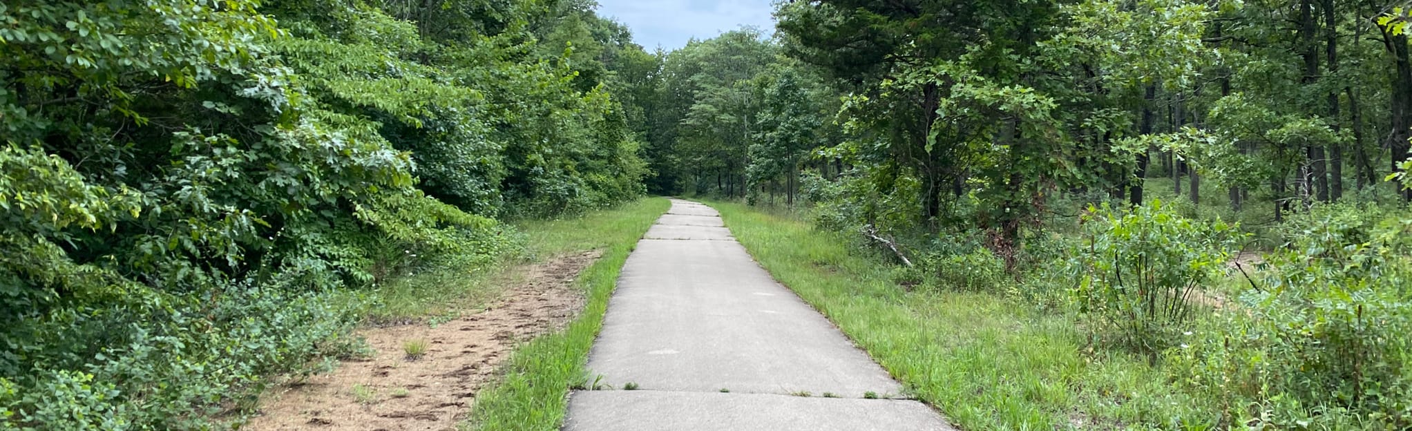 Pine Loop Bicycle Trail, Missouri 190 Reviews, Map AllTrails