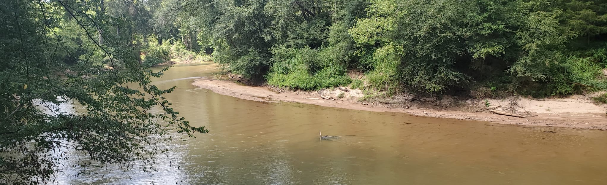 AllTrails Blackstock Battlefield 76 Reviews, Map South Carolina