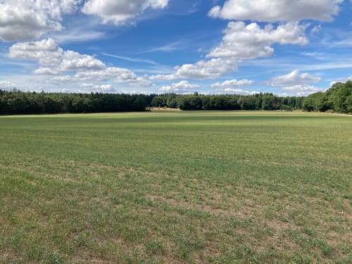 Felsenweg 3 (Bollendorf/Bollenduerf)