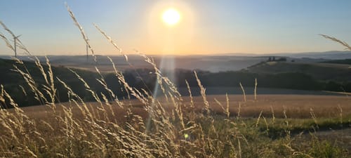 Panorama Höhenweg und Windlehrpfad Lettweiler