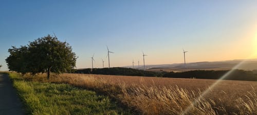 Panorama Höhenweg und Windlehrpfad Lettweiler