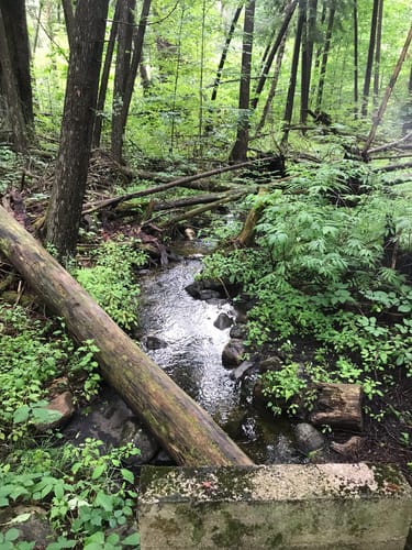 Best Hikes and Trails in Springwater Provincial Park | AllTrails