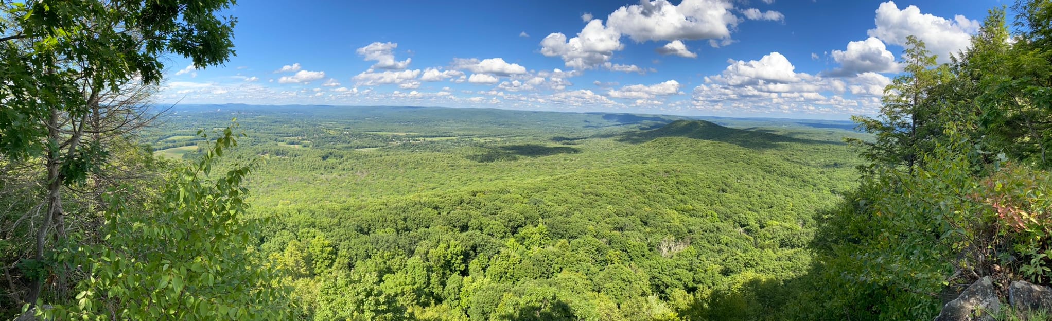 Mount Norwottuck and Rattlesnake Knob Loop, Massachusetts 211 Reviews