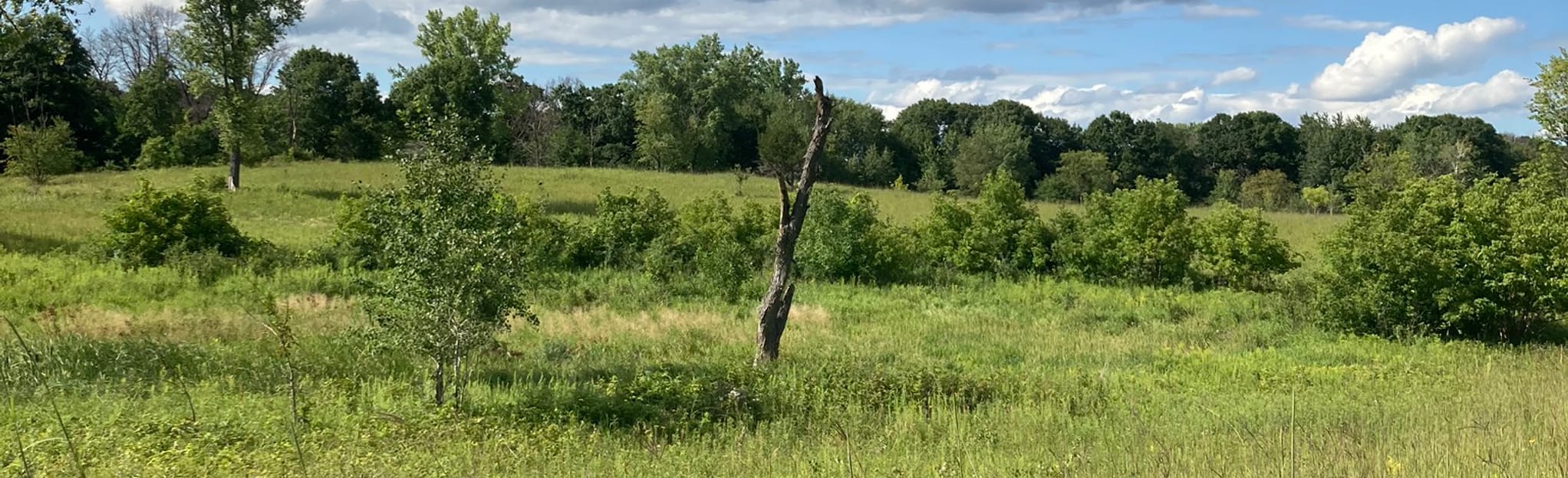 Prairie Loop and Poplar Loop, Minnesota 199 Reviews, Map AllTrails