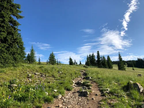 Manning park clearance snowshoe trails