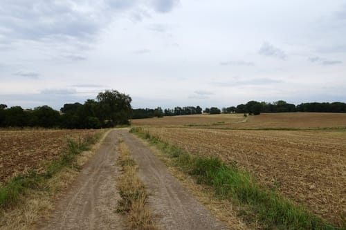Tour durch die Wälder zur Pauluskapelle