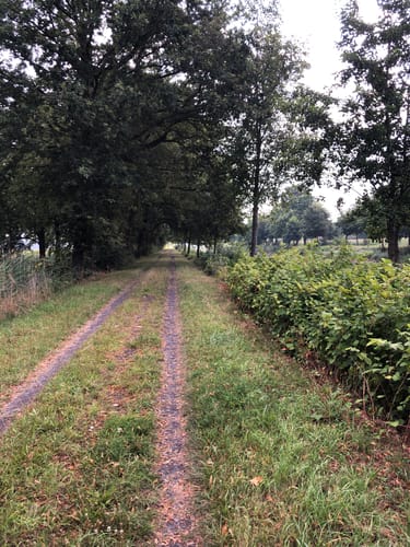 Entlang des Dortmund-Ems-Kanals von Senden