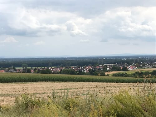Hessische Apfelwein- und Obstwiesenroute: Untermain und Nidder