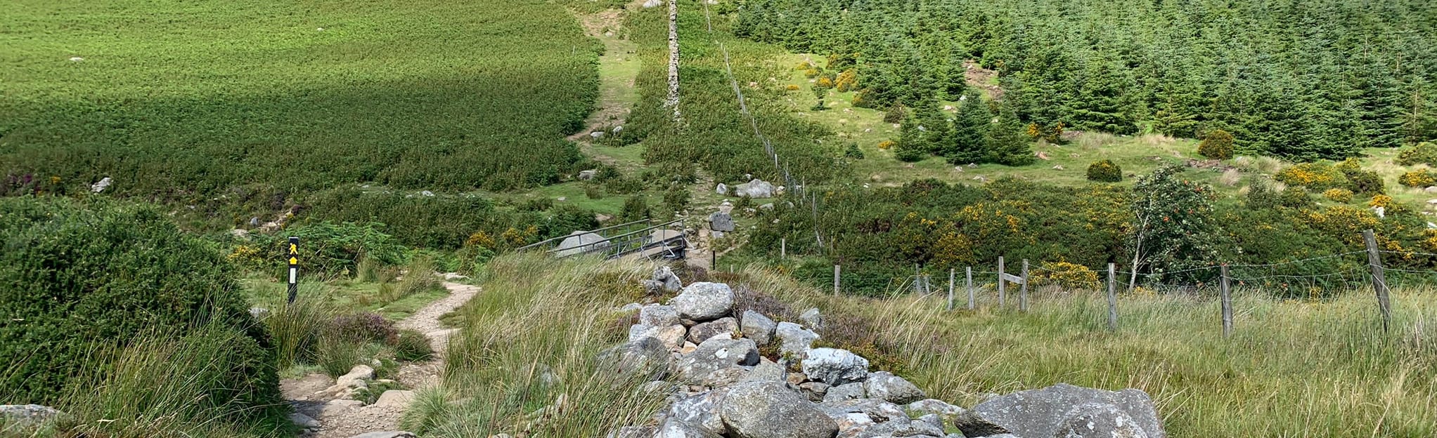 crone-wood-to-war-hill-via-djouce-731-fotos-county-wicklow-ireland