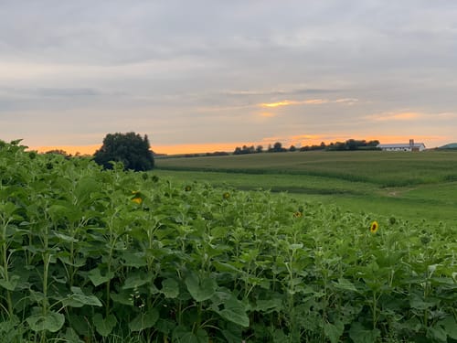 Rund um Tattenhausen