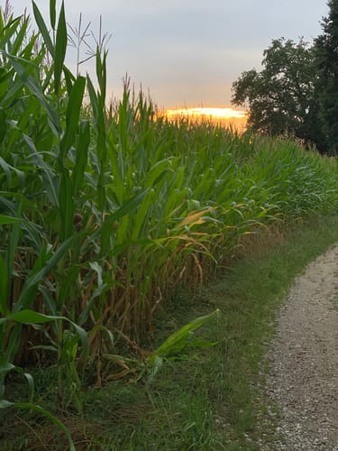 Rund um Tattenhausen