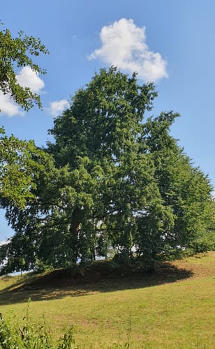 Spessartbogen Etappe 2: Horbach - Bad Orb