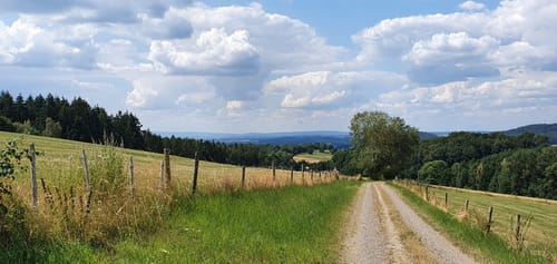Spessartbogen Etappe 2: Horbach - Bad Orb