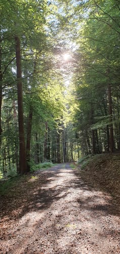 Spessartbogen Etappe 2: Horbach - Bad Orb