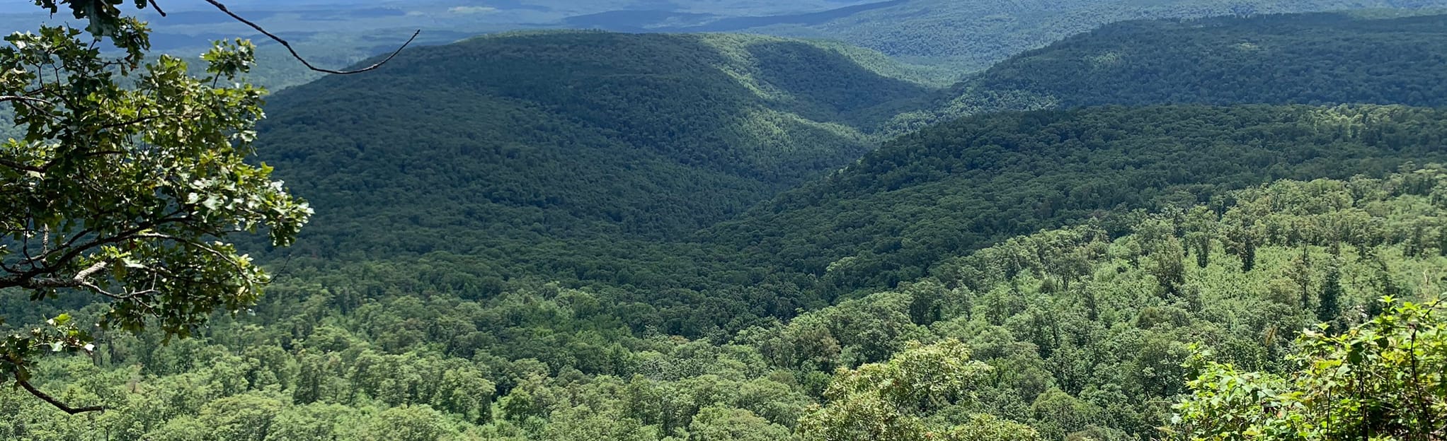 White Rock Mountain Rim Trail 87 Reviews, Map Arkansas AllTrails