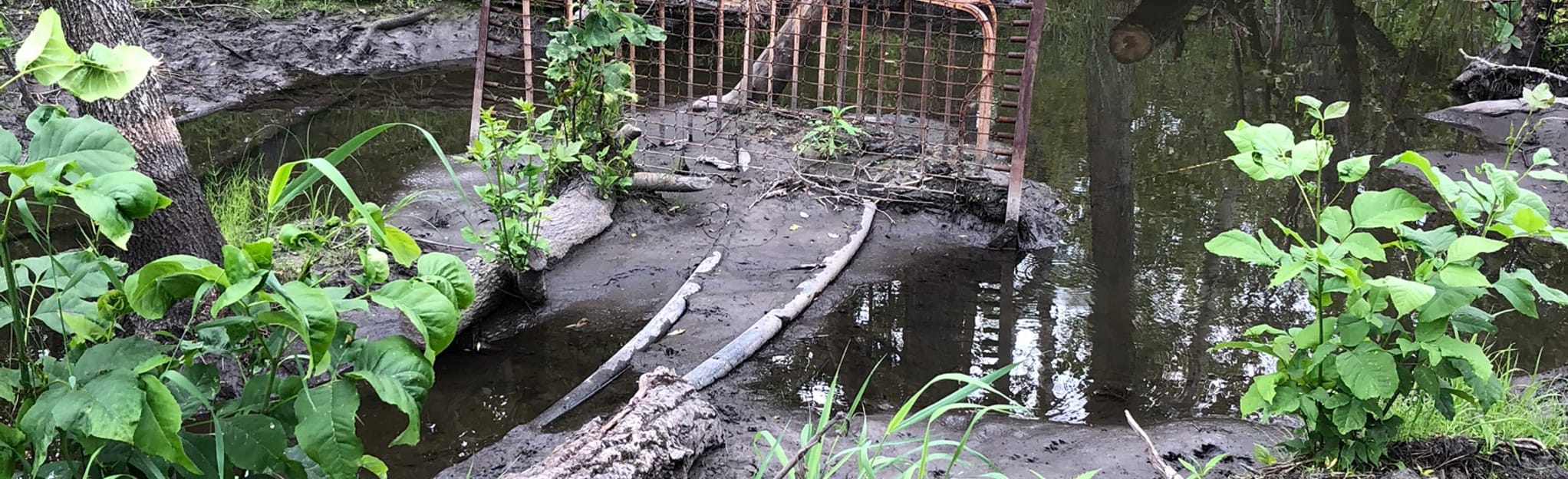 Cannington Lake Nature Trails Map, Guide Saskatchewan, Canada