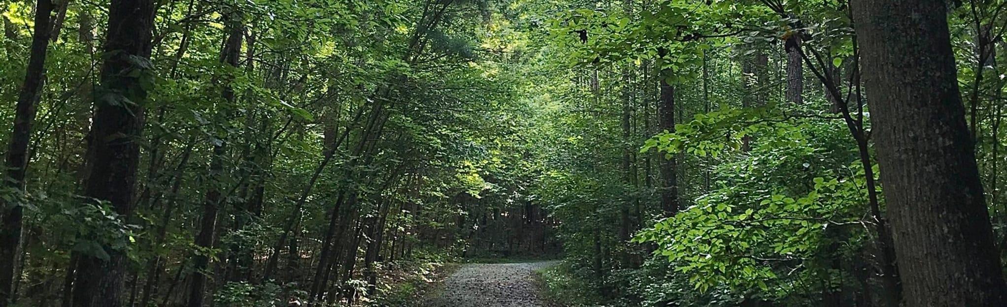 Couch Mountain Loop and Spur 102 Reviews, Map North Carolina AllTrails