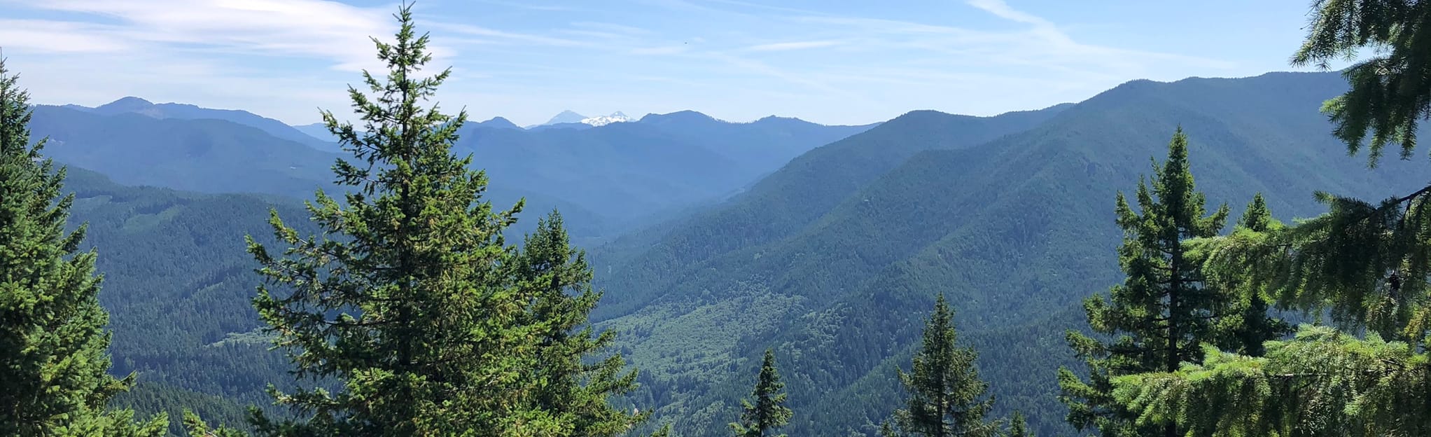 Rooster Rock via Trout Creek Trail, Oregon 222 Reviews, Map AllTrails