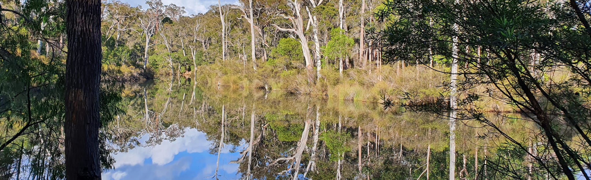 Ten Mile Brook Trail, Western Australia, Australia 174 Reviews, Map