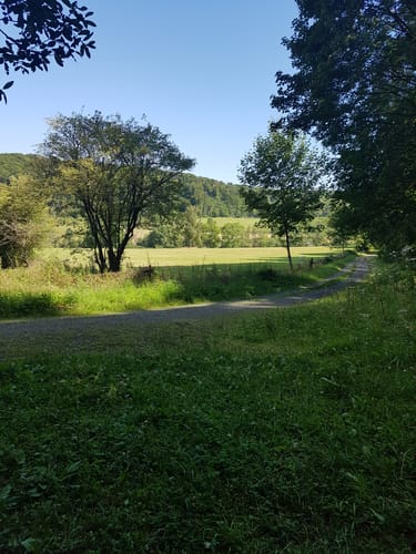 Reitlingswiesen-Rundweg (Elm RW 30)