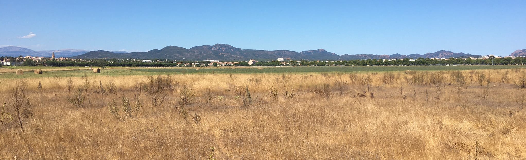 Base Nature François Léotard, 23 Fotos Var, France AllTrails
