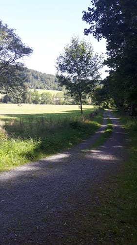 Reitlingswiesen-Rundweg (Elm RW 30)