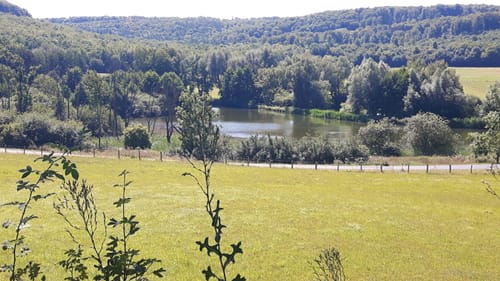 Reitlingswiesen-Rundweg (Elm RW 30)