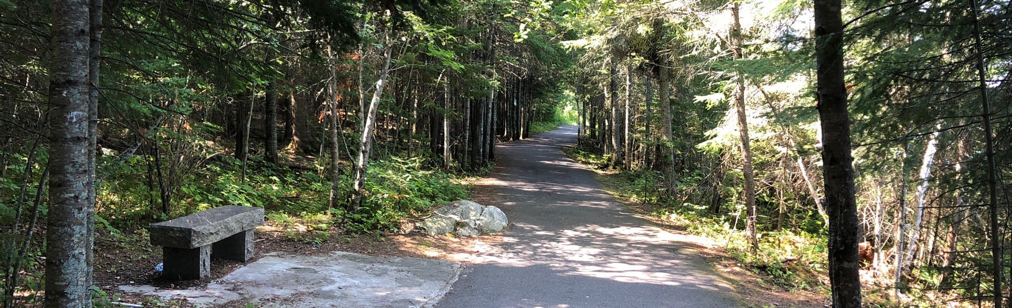 Rabbit Lake Loop 25 Photos Ontario, Canada Randonnée AllTrails