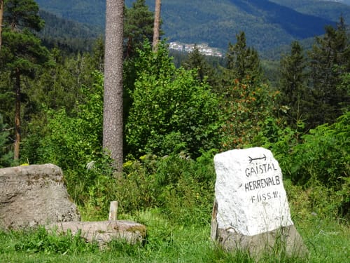 Zur Teufelsmühle ab Hirschwinkelhütte