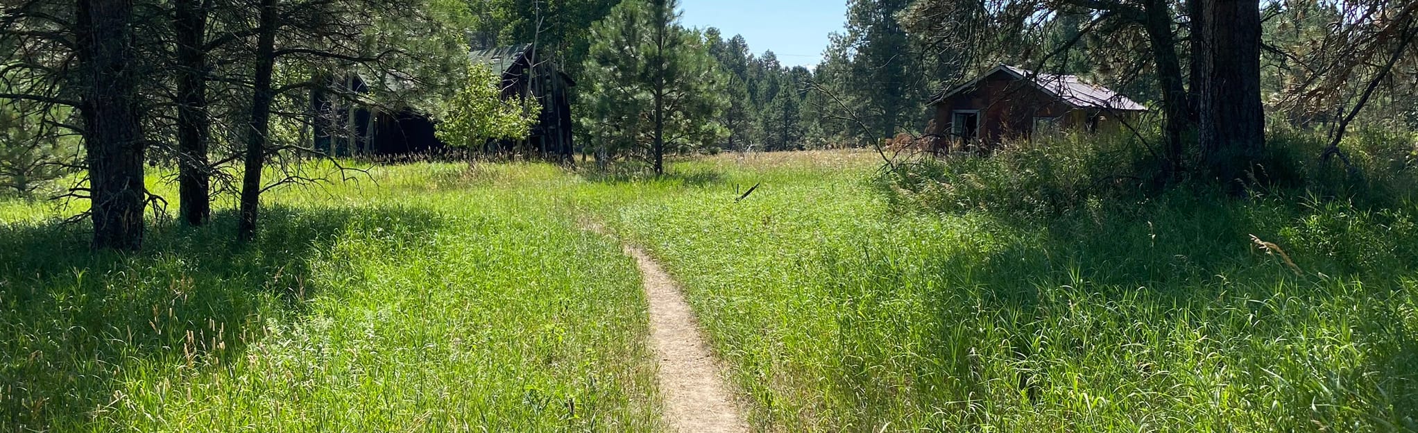 Spokane Ghost Town Trail, South Dakota - 152 Reviews, Map | AllTrails